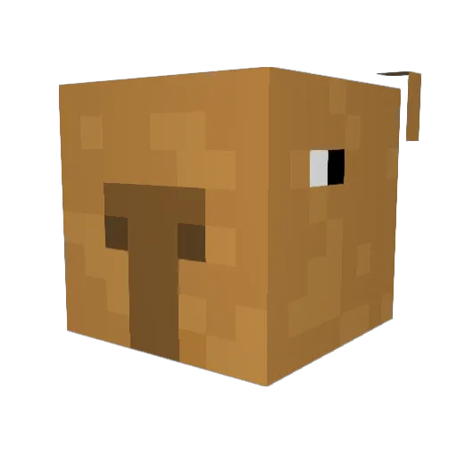 Re1pqnn Minecraft avatar head, 3D render