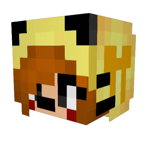 Re2222 Minecraft avatar head, 3D render