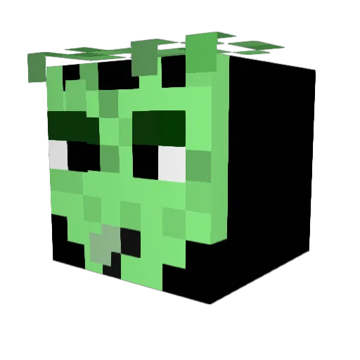 Re22ard Minecraft avatar head, 3D render