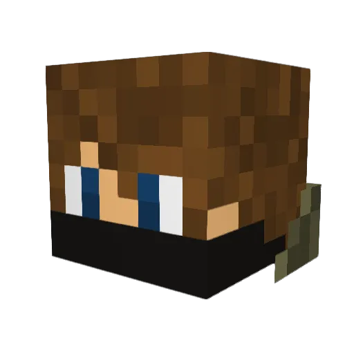 Re4Wolf Minecraft avatar head, 3D render