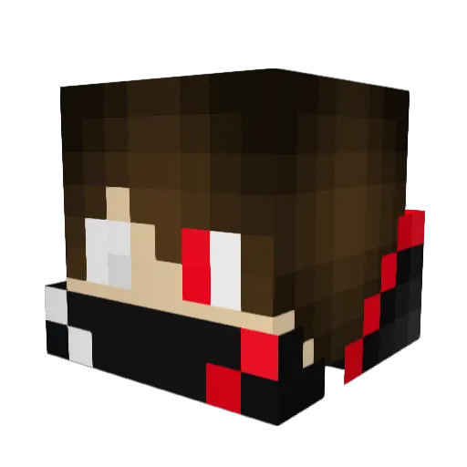 Re4Xenpl Minecraft avatar head, 3D render