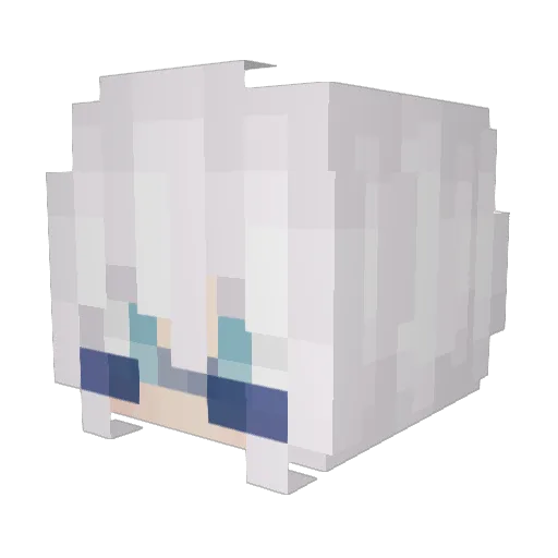 Re4ls Minecraft avatar head, 3D render