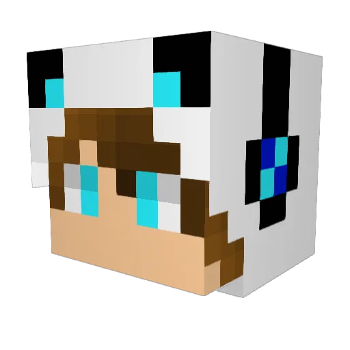 ReBlockBuster Minecraft avatar head, 3D render