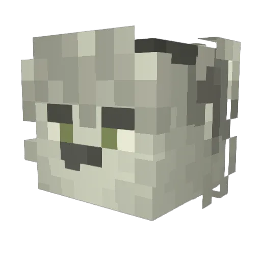 ReBoot725 Minecraft avatar head, 3D render