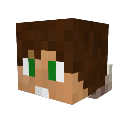ReBorn_xReaction Minecraft avatar head, 3D render