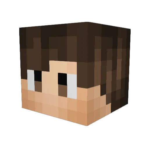 ReCarlo1 Minecraft avatar head, 3D render