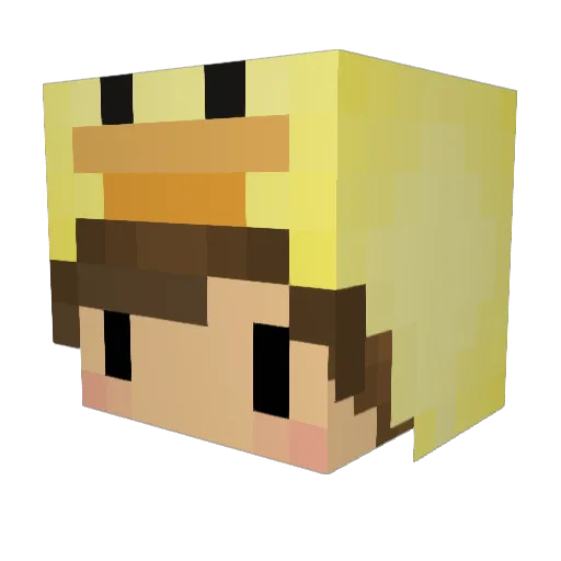 ReCooomE Minecraft avatar head, 3D render