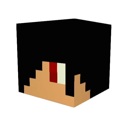 ReFleXEaGle11 Minecraft avatar head, 3D render