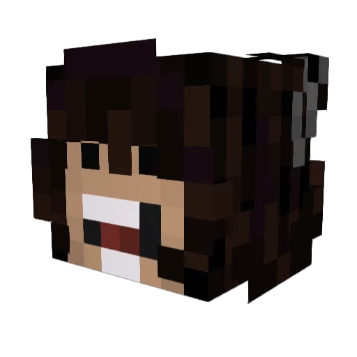 ReRoo_ Minecraft avatar head, 3D render