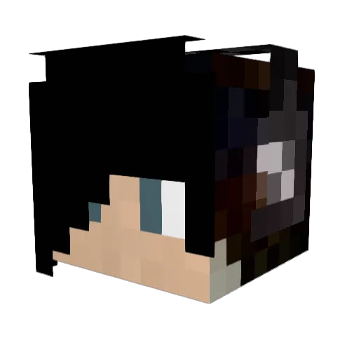 ReSeninha Minecraft avatar head, 3D render