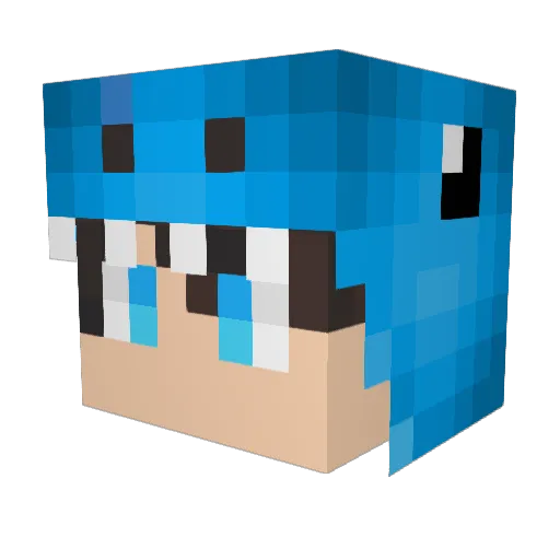 ReXsExEr Minecraft avatar head, 3D render