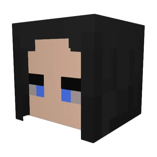 Re_Macr0s Minecraft avatar head, 3D render