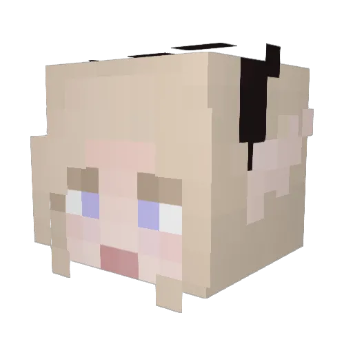 Re_Squid Minecraft avatar head, 3D render