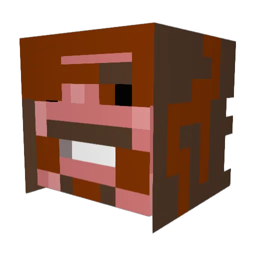 Re_educate Minecraft avatar head, 3D render