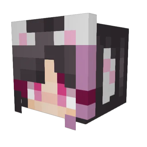 Re_zoniark Minecraft avatar head, 3D render