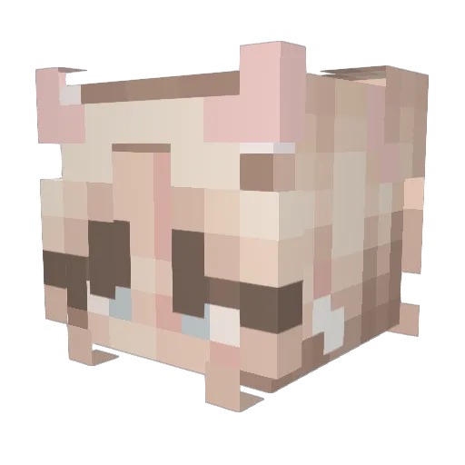 Rea10 Minecraft avatar head, 3D render