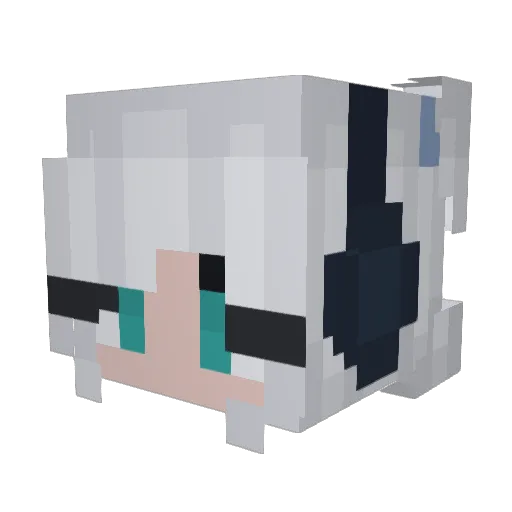 ReaBear13 Minecraft avatar head, 3D render