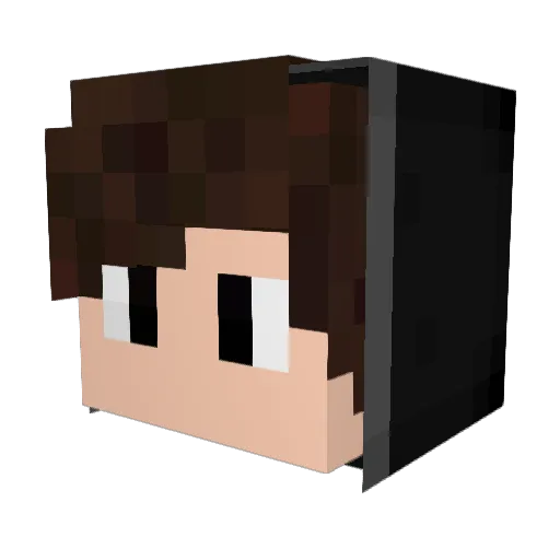 ReaLPsikopat_TR Minecraft avatar head, 3D render