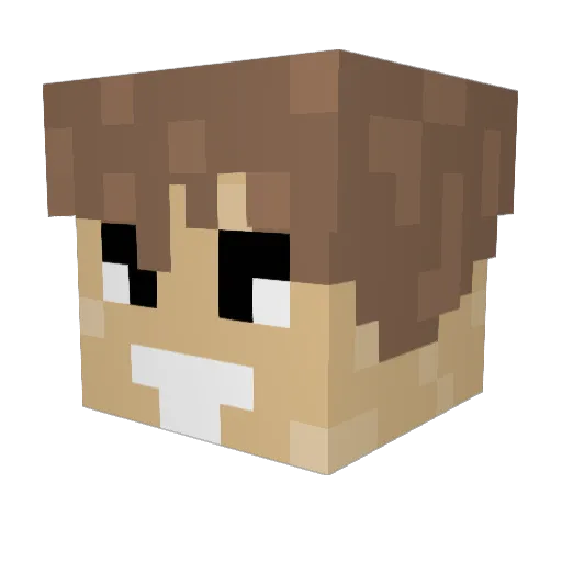 ReaLyTi Minecraft avatar head, 3D render