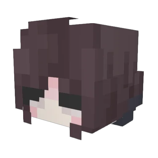 Reaals Minecraft avatar head, 3D render
