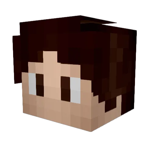 Reaas Minecraft avatar head, 3D render