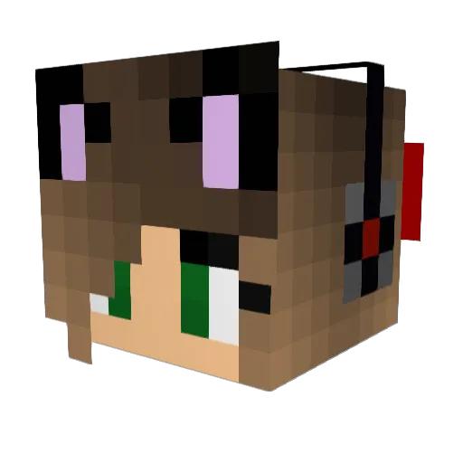 ReachMAIN Minecraft avatar head, 3D render