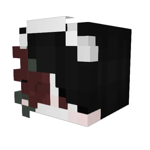 Reachersha Minecraft avatar head, 3D render