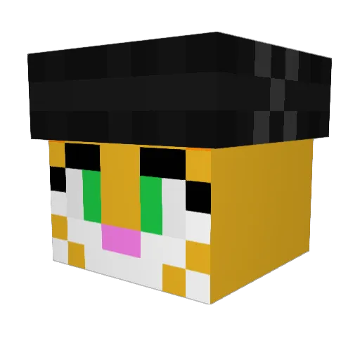 ReactiveRain90 Minecraft avatar head, 3D render