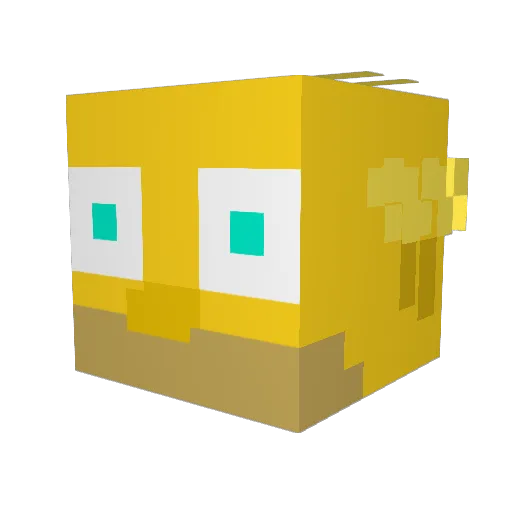 Read_if_gay_ Minecraft avatar head, 3D render