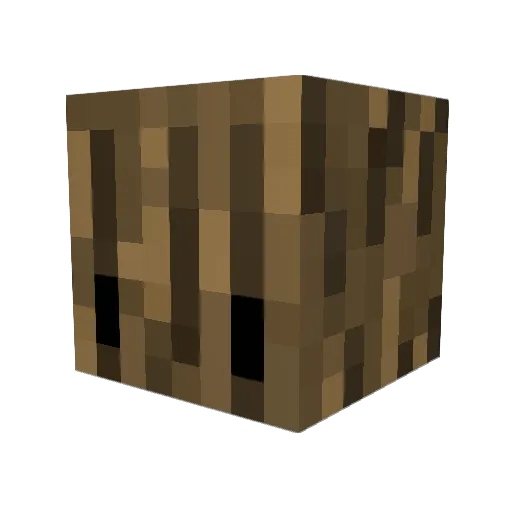 Readaboo Minecraft avatar head, 3D render