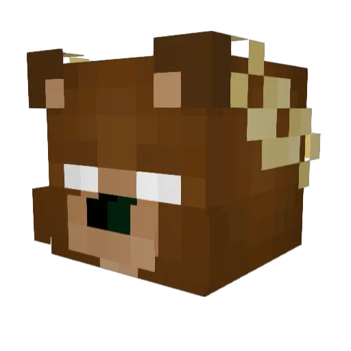 Readdsinho Minecraft avatar head, 3D render