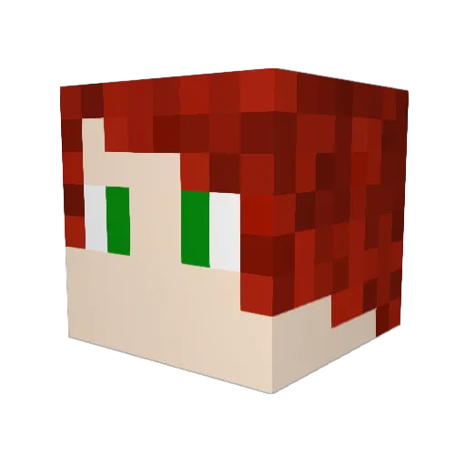 ReadingRelar Minecraft avatar head, 3D render