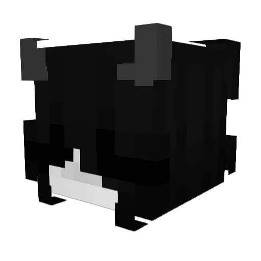 Reagal_Bagel Minecraft avatar head, 3D render