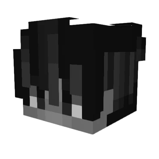 Reagan1468 Minecraft avatar head, 3D render