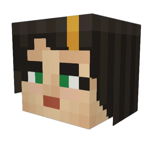 ReaganBoBeagan Minecraft avatar head, 3D render