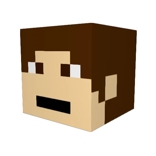 ReaganBridgland Minecraft avatar head, 3D render