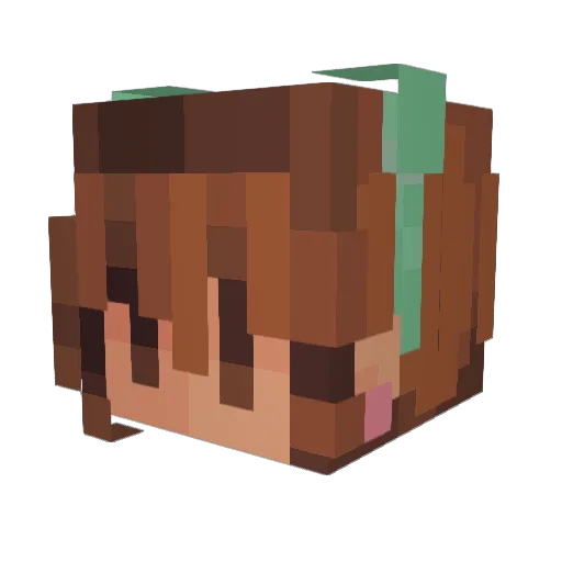 Reagan_25 Minecraft avatar head, 3D render