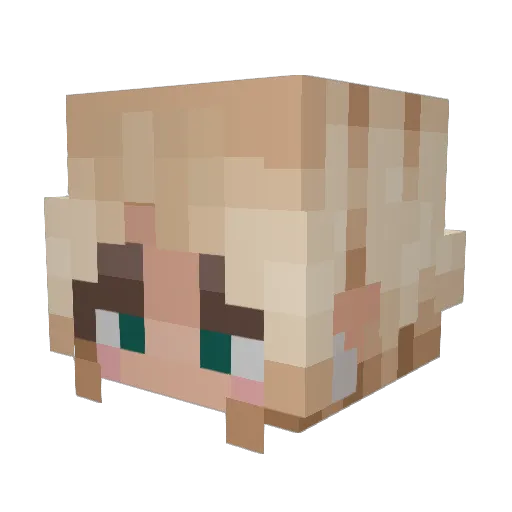 Reagu Minecraft avatar head, 3D render