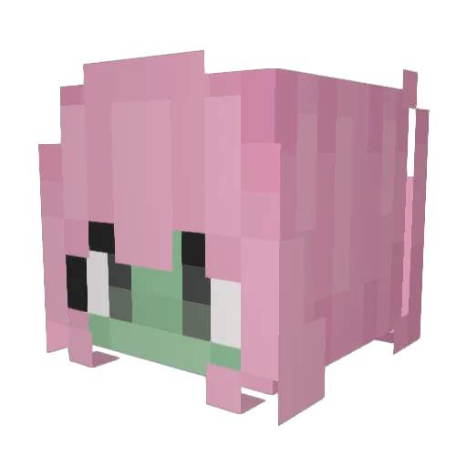 ReahSin Minecraft avatar head, 3D render