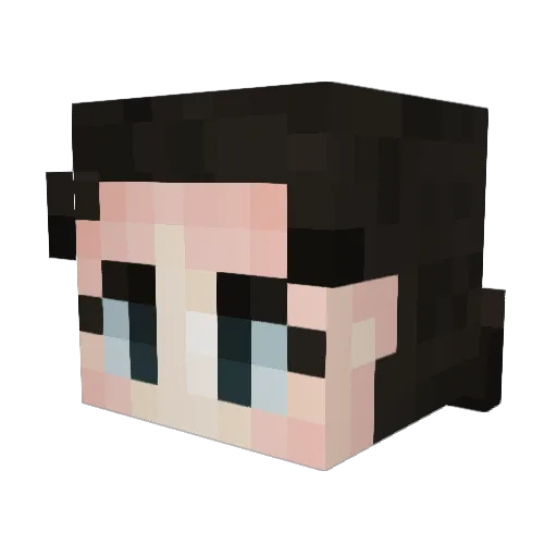 ReakingHavok_26 Minecraft avatar head, 3D render