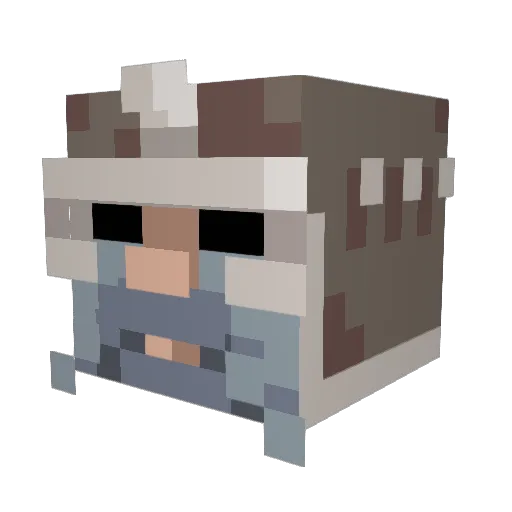 Reakwind Minecraft avatar head, 3D render