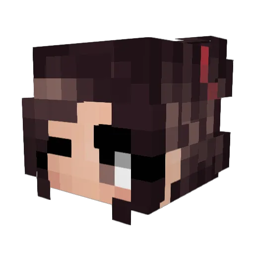 Real4NTI Minecraft avatar head, 3D render