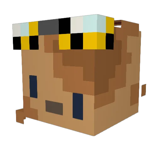 RealBabyCat Minecraft avatar head, 3D render