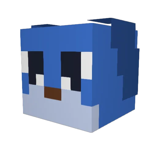 RealCat1010 Minecraft avatar head, 3D render