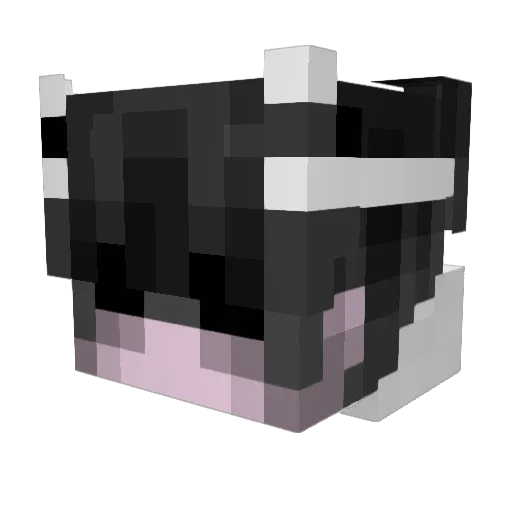 RealDarkVisionss Minecraft avatar head, 3D render