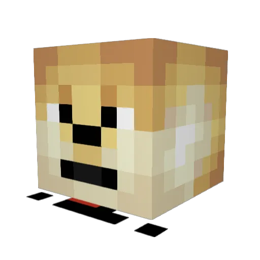 RealDogeGaming Minecraft avatar head, 3D render
