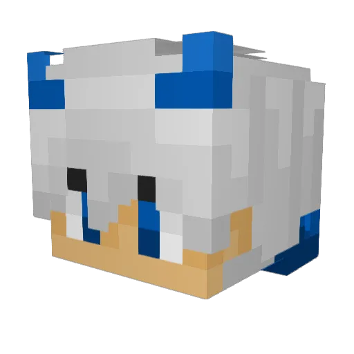 RealDopeyPolecat Minecraft avatar head, 3D render