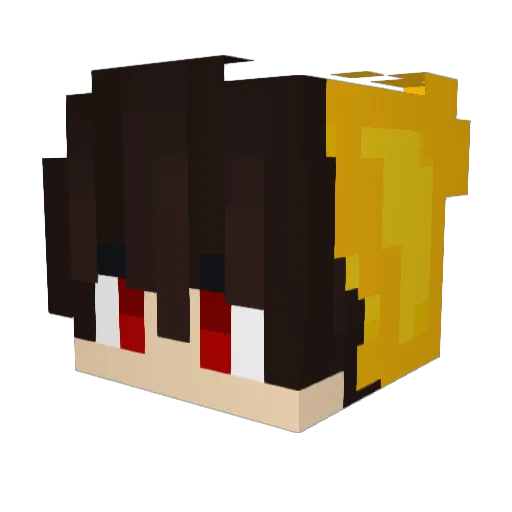 RealMedic Minecraft avatar head, 3D render