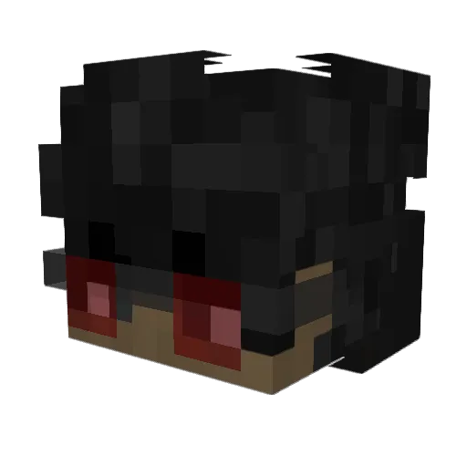 RealNameChris Minecraft avatar head, 3D render