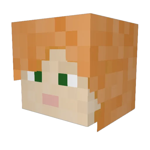 RealNameHidden17 Minecraft avatar head, 3D render